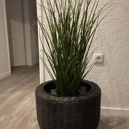 Apartamento Haus Mariechen Hooksiel