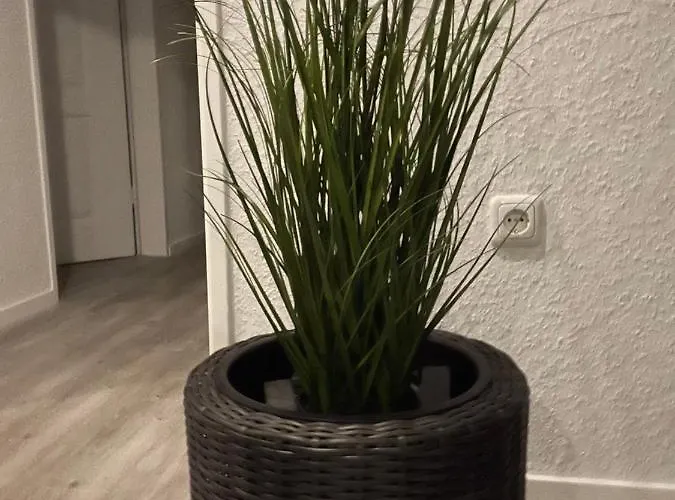 公寓 Haus Mariechen 霍克西尔